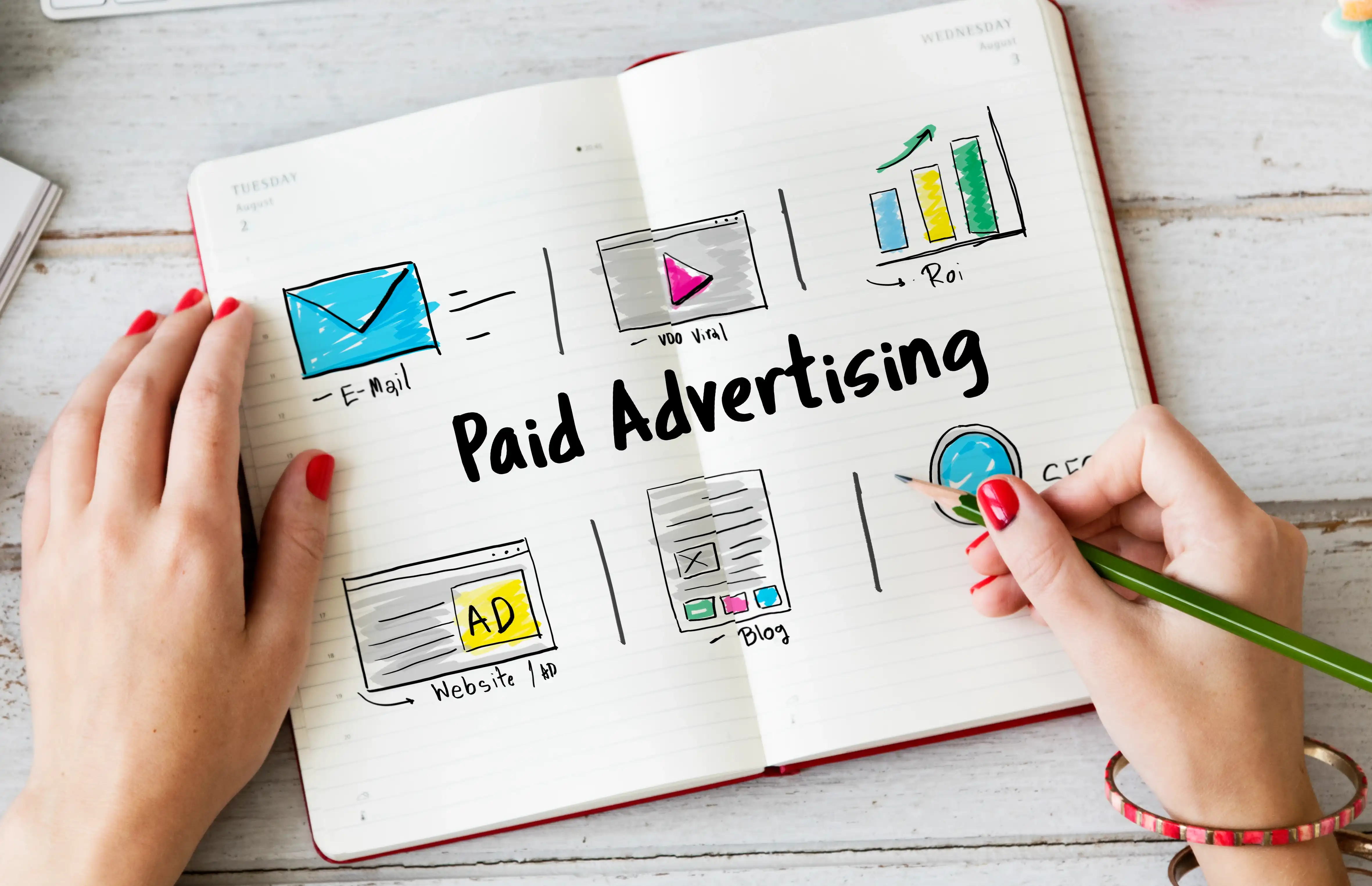 Optimisation ROI Paid Ads WolfNova
