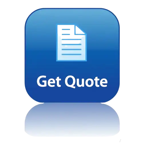 WolfNova team offering IT solutions and web development services